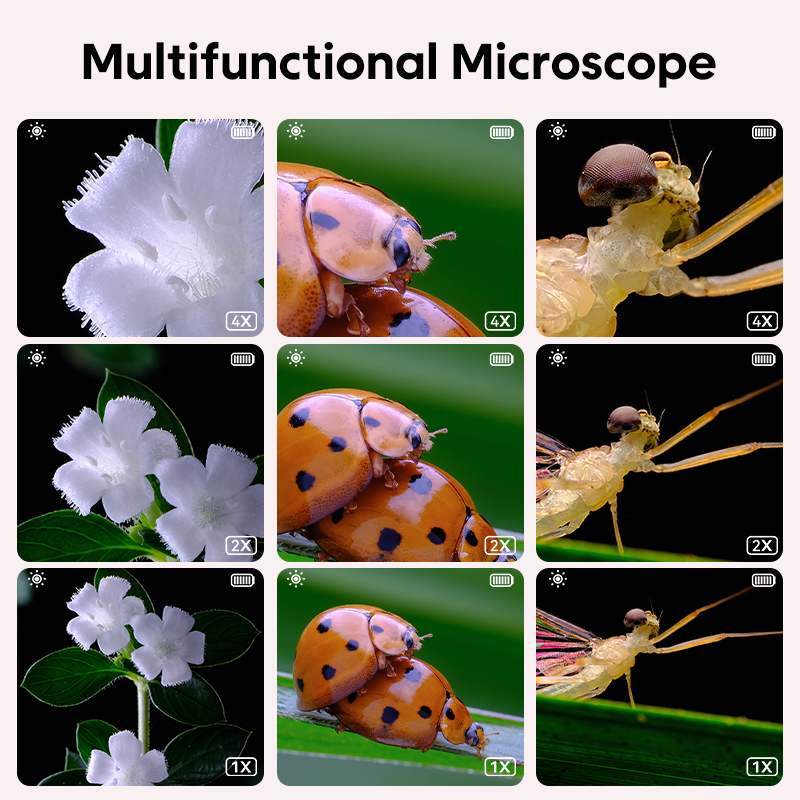 Mini microscopio óptico para n - Toys For Kids Video reseña y precio